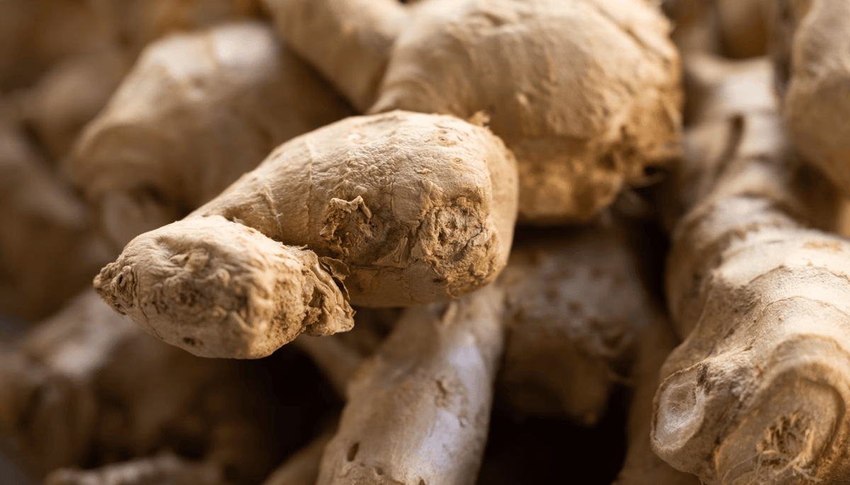 ginger